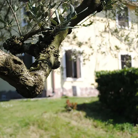 Aparthotel Melograno D'oro