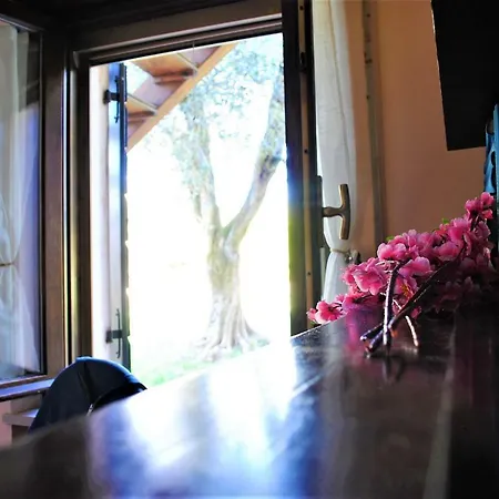 Melograno D'oro Bardolino